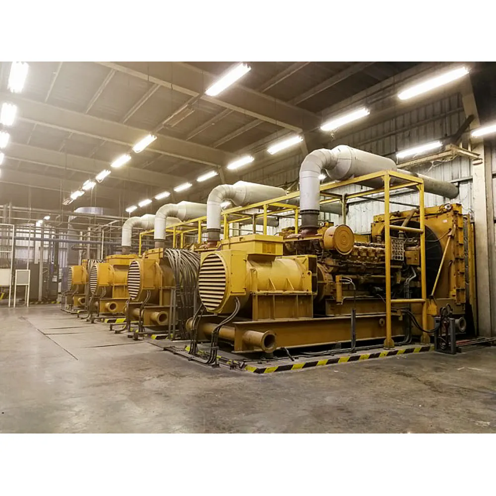 Borescope Inspection of Large Reciprocating Engines