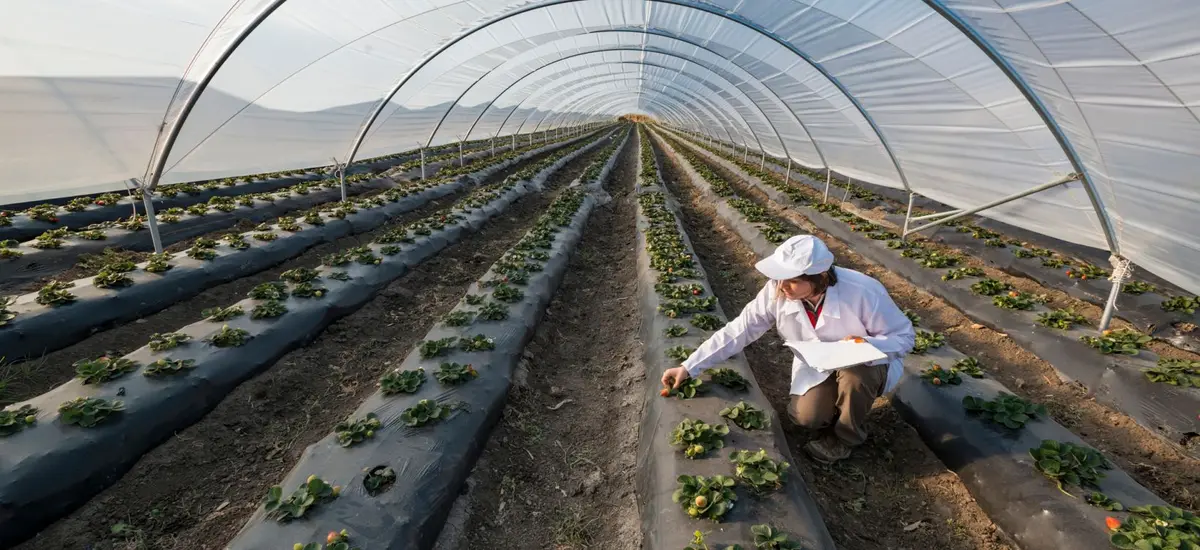 Evident XRF and XRD for Agricultural Applications