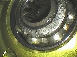 Interchangeable Scopes and Light Sources