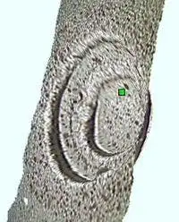IPLEX NX Videoscope — view 4